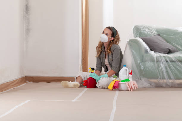 Reliable Bathroom Mold Removal contractor in Islip, NY by Mold Remediation HQ